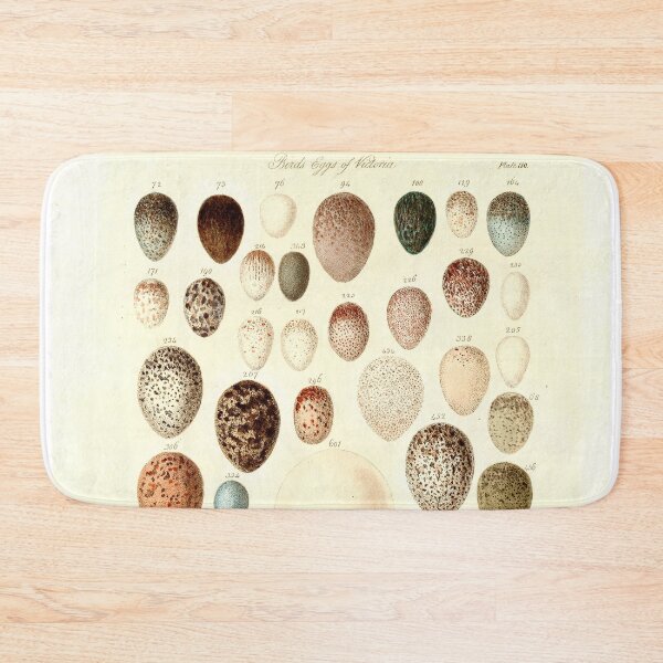 Item preview, Birds' Eggs - William Blandowski designed and sold by superbling.