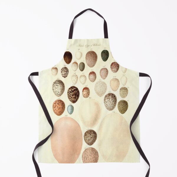 Item preview, Birds' Eggs - William Blandowski designed and sold by superbling.