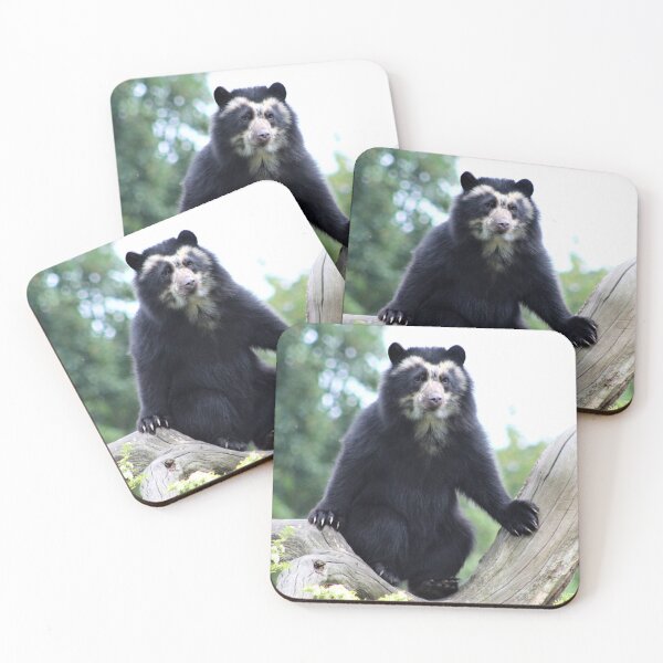 Item preview, Bearly Balanced designed and sold by Ladymoose.