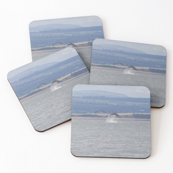 Item preview, Dolphin breaching in front of boat trip tourist designed and sold by chanonry.