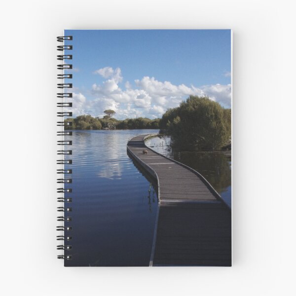 Item preview, Tea Tree Boardwalk - Bool Lagoon Game Reserve designed and sold by davidjc.