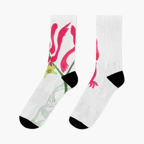 Item preview, Kangaroo Paw Christmas designed and sold by Kirsten Spry.