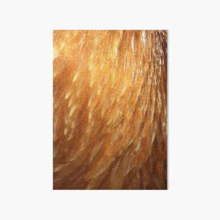 Vista previa del artículo con la obra «Plumas de pollo Isa Brown.», diseñado y vendido por Oldrubberpedals.