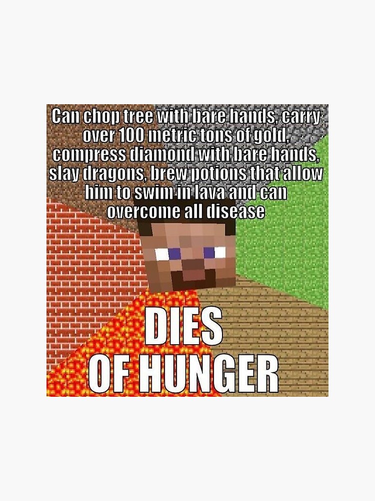 Minecraft Memes - DM us some memes!