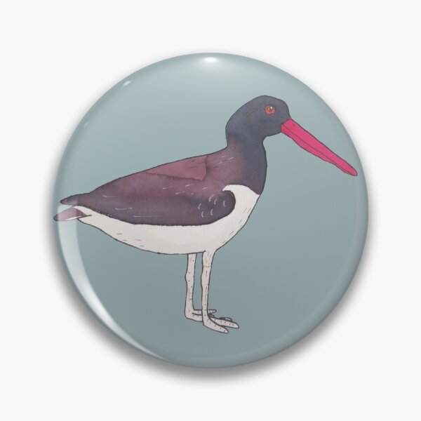 Item preview, American Oystercatcher bird species wildlife art designed and sold by TheWaterBirds.