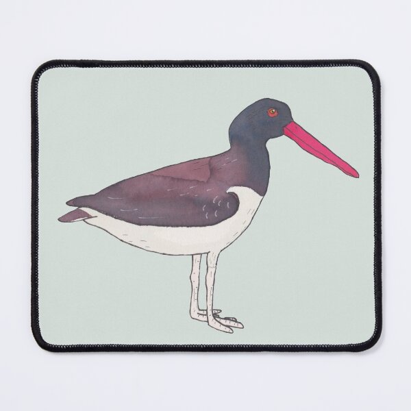 Item preview, American Oystercatcher bird species wildlife art designed and sold by TheWaterBirds.