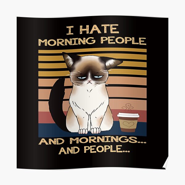 I Hate Morning People And Mornings And People I Hate Morning People And Mornings And People