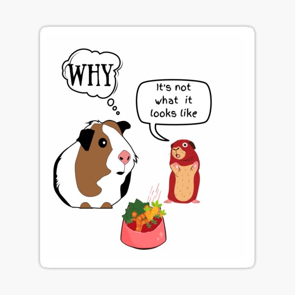 Snack Fun Food Costume Vinyl Decal I LOVE MY GUINEA PIG Cage Toy 