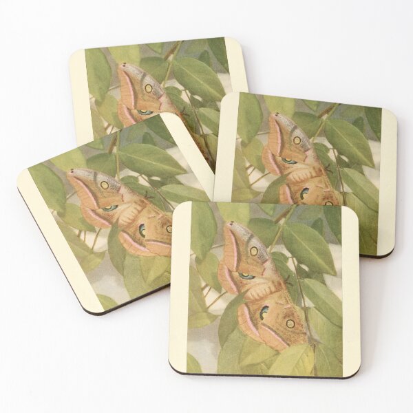Item preview, Moths of the Limberlost by Gene Stratton-Porter designed and sold by Amanda1775.