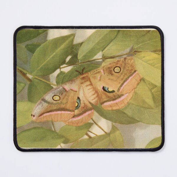 Item preview, Moths of the Limberlost by Gene Stratton-Porter designed and sold by Amanda1775.