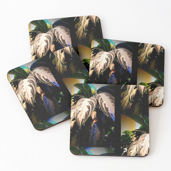 Item preview, Dramatic Exotic Plant Photography Design designed and sold by EarthArtDesigns.