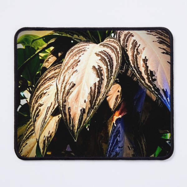 Item preview, Dramatic Exotic Plant Photography Design designed and sold by EarthArtDesigns.