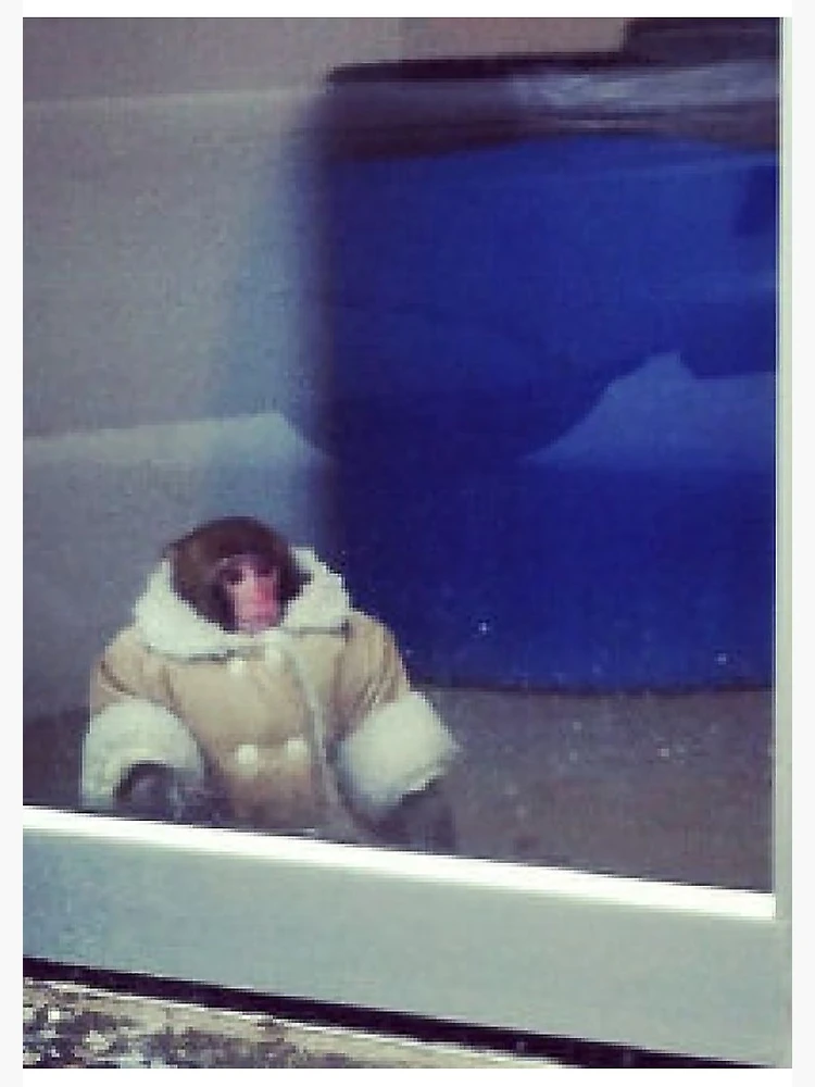 IKEA Monkey  Know Your Meme