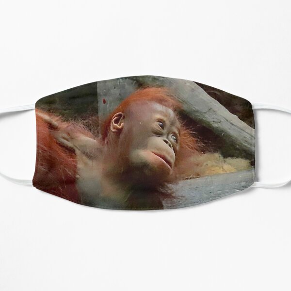 Baby Boy Orangutan Flat Mask