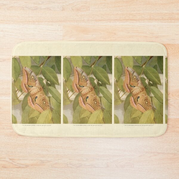 Item preview, Moths of the Limberlost by Gene Stratton-Porter designed and sold by Amanda1775.