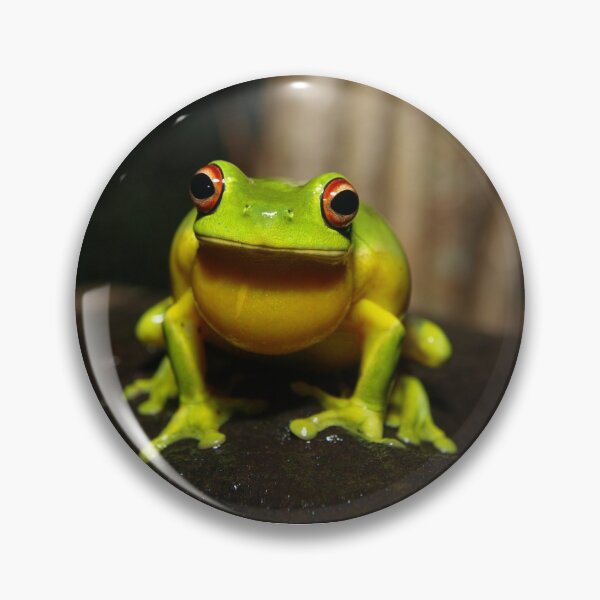 Item preview, Queensland Tree Frog designed and sold by Oldrubberpedals.