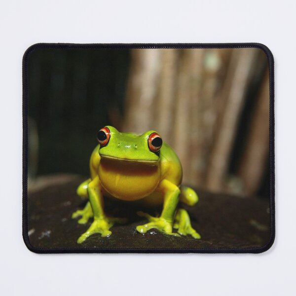 Item preview, Queensland Tree Frog designed and sold by Oldrubberpedals.