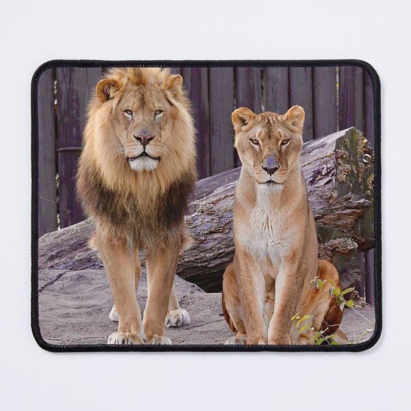 Item preview, African Gothic designed and sold by KMDavidPhoto.
