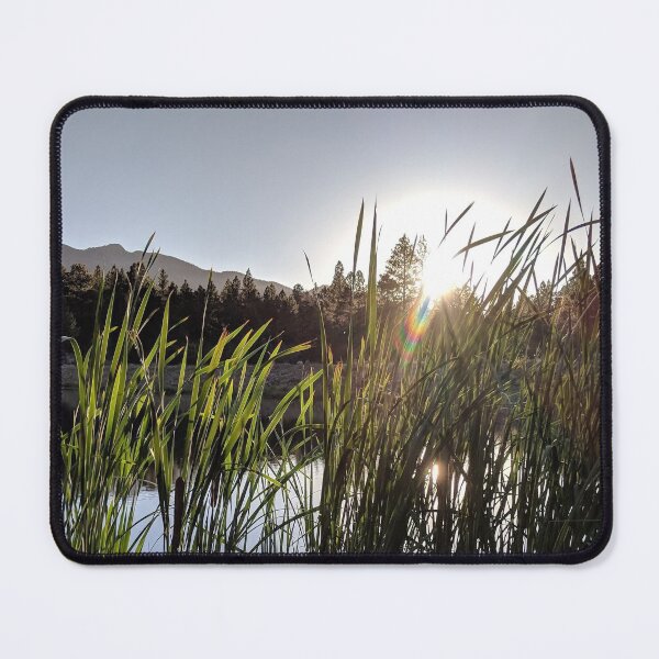 Item preview, Pine Valley Reservoir designed and sold by curtislb.