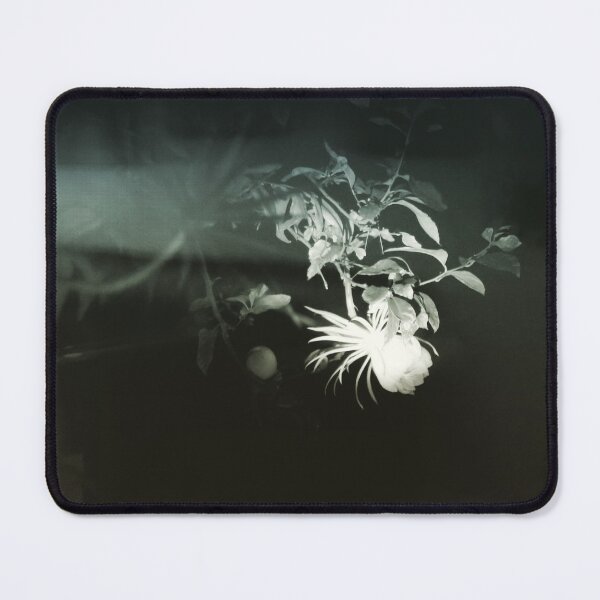 Item preview, night bloom designed and sold by MariannaPhotos.