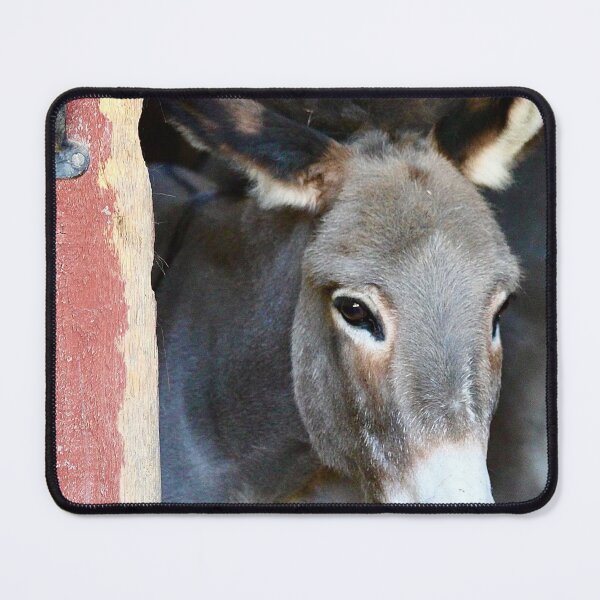 Item preview, Barn Door Donkey designed and sold by KMDavidPhoto.