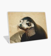 Fur Seal Laptop Skin