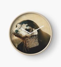 Fur Seal Clock