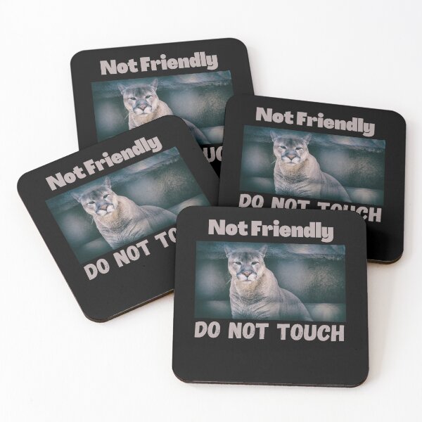 Item preview, Not Friendly Do Not Touch , Look But Dont Touch  designed and sold by laamriya974.