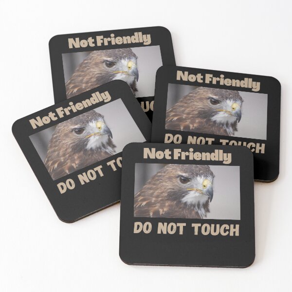 Item preview, Not Friendly Do Not Touch , Look But Dont Touch  designed and sold by laamriya974.