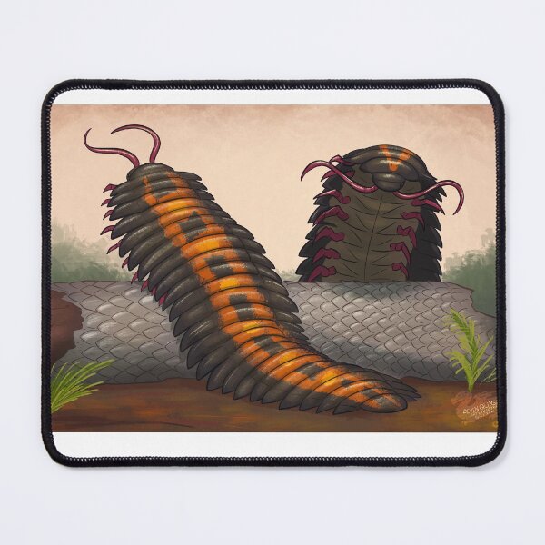Item preview, Arthropleura, the Giant Millipede designed and sold by DevinQuigleyArt.