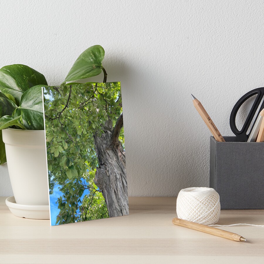 Item preview, Art Board Print designed and sold by MigMeg.