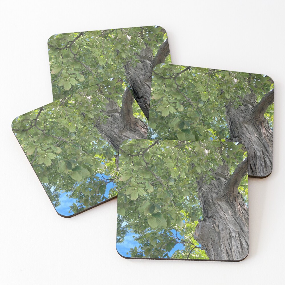 Item preview, Coasters (Set of 4) designed and sold by MigMeg.