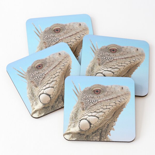 Item preview, The King of the Leguana's designed and sold by MorningFive.