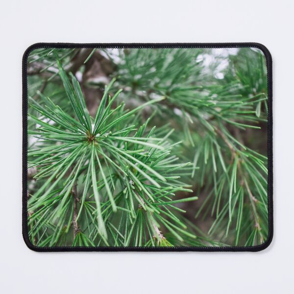 Item preview, Winter Christmas Pine Tree Branch designed and sold by Anastasia Kaneva.