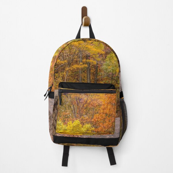 Item preview, An Autumn Path 2 designed and sold by Marianne Troia.