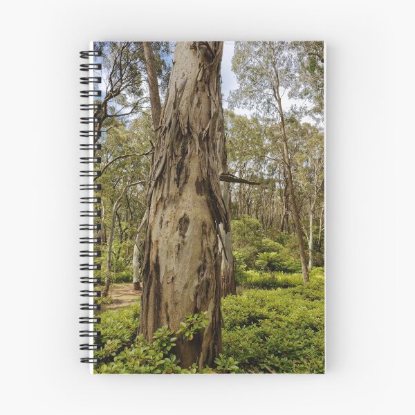 Item preview, Splendid tree scene in Blackheath designed and sold by Mrtweety.