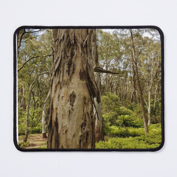 Item preview, Splendid tree scene in Blackheath designed and sold by Mrtweety.