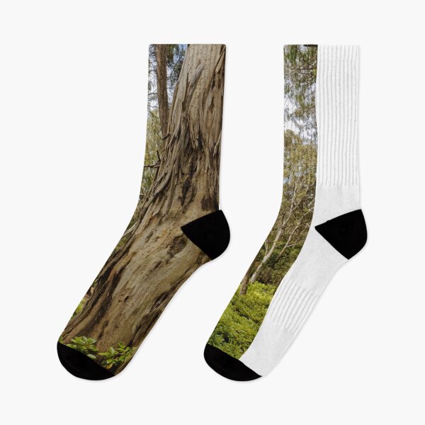 Item preview, Splendid tree scene in Blackheath designed and sold by Mrtweety.