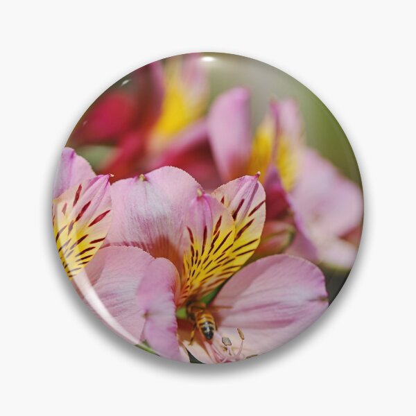 Item preview, Tibouchina Chameleon In Flower  designed and sold by Joy Watson - Natural Light Photography .