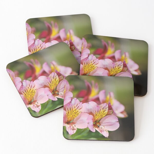 Item preview, Tibouchina Chameleon In Flower  designed and sold by Joy Watson - Natural Light Photography .