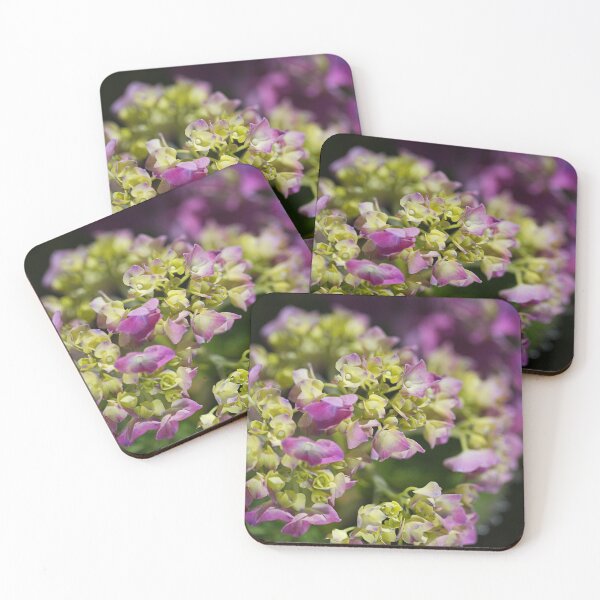 Item preview, Mophead Hydrangea Pinks Morning designed and sold by Joy Watson - Natural Light Photography .