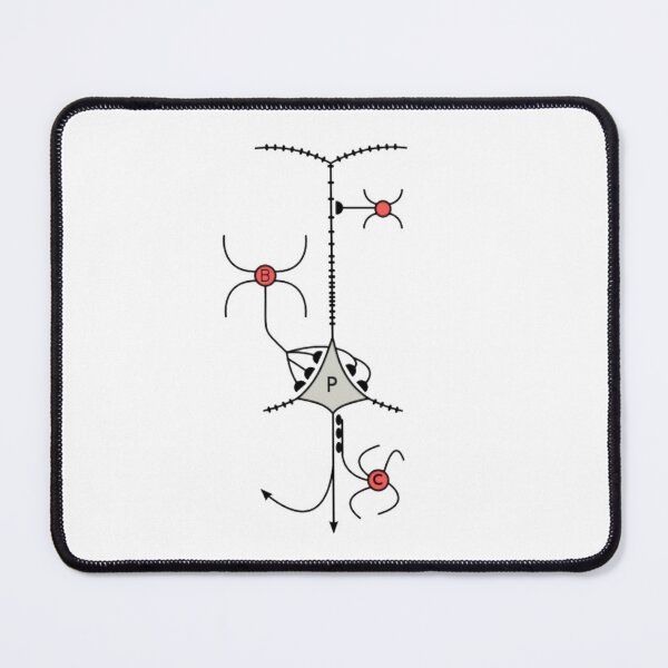 A neuron or nerve cell is an electrically excitable cell that communicates with other cells via specialized connections called synapses. Mouse Pad