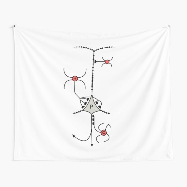 A neuron or nerve cell is an electrically excitable cell that communicates with other cells via specialized connections called synapses. Tapestry