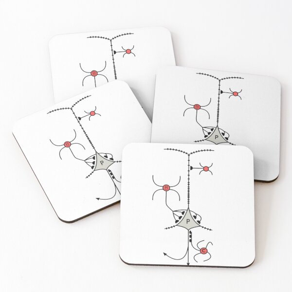 A neuron or nerve cell is an electrically excitable cell that communicates with other cells via specialized connections called synapses. Coasters (Set of 4)