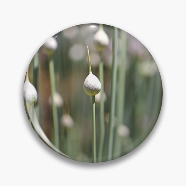 Item preview, Lots Of Garlic Buds  designed and sold by Joy Watson - Natural Light Photography .