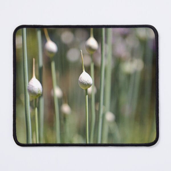 Item preview, Lots Of Garlic Buds  designed and sold by Joy Watson - Natural Light Photography .