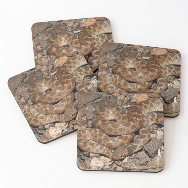 Item preview, Texas Night Snake Print designed and sold by Paul-Prints.