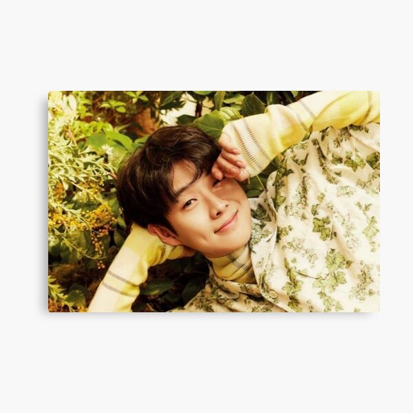 Choi Woo Shik Wall Art For Sale Redbubble