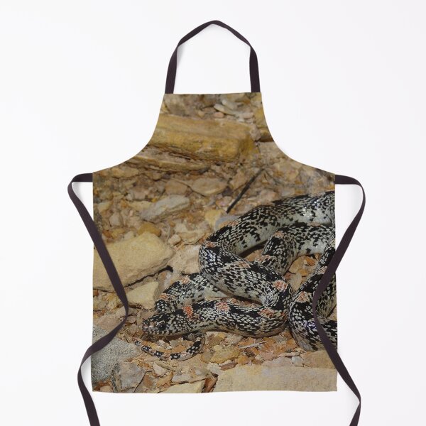 Item preview, Texas Long-nosed Snake Print designed and sold by Paul-Prints.