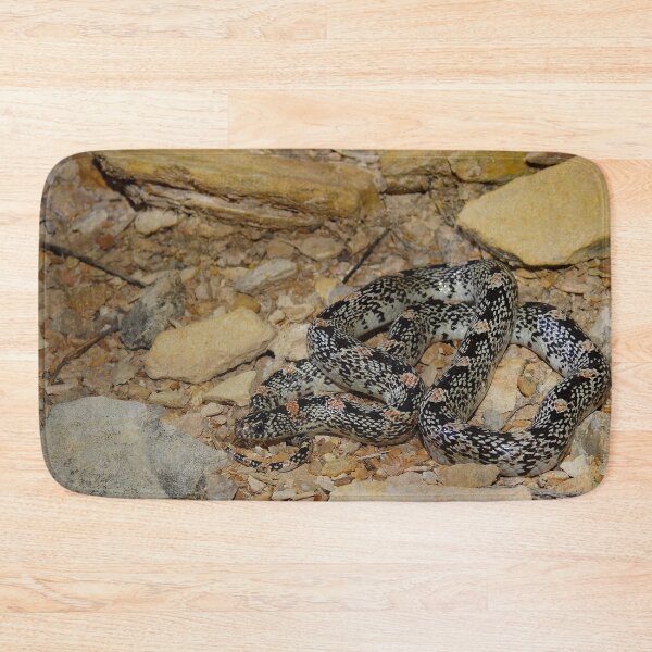 Item preview, Texas Long-nosed Snake Print designed and sold by Paul-Prints.